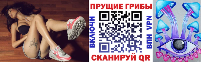 блэк спрут онион  Избербаш  Псилоцибиновые грибы GOLDEN TEACHER 